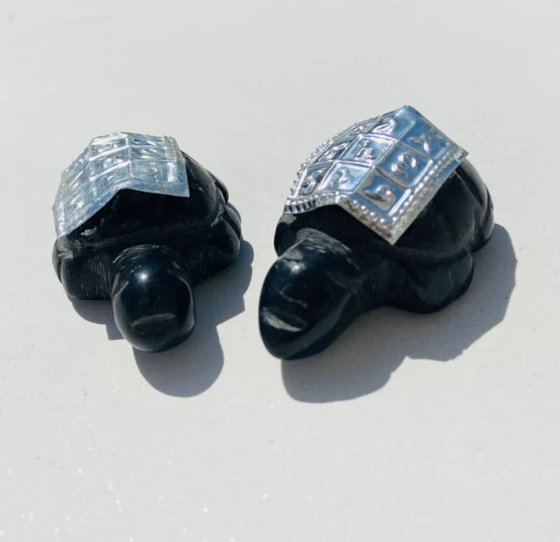 Black Toumaline turtle